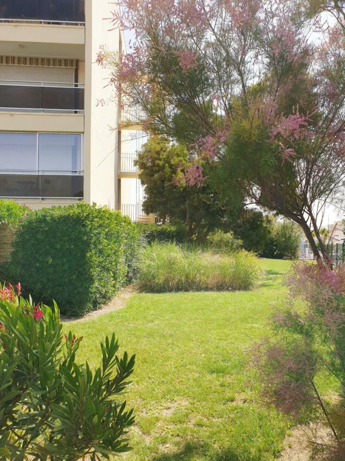 Studio Moderne Avec Parking Et Piscine- 313 Canet-en-Roussillon Εξωτερικό φωτογραφία